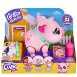 Fotorama-Mi-Cerdito-Mascota-Live-Pets-1332