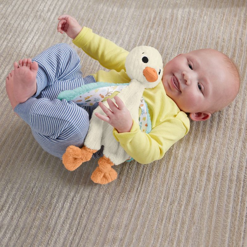 Mattel-Fisher-Price-Baby-Ganso-Amoroso-HYD10