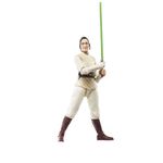 Hasbro-Star-Wars-Black-Series-Defense-Jedi-Master-Indara-G0011