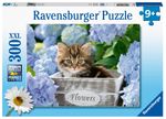 Rompecabezas-Gatito-Tortoiseshell-300-piezas