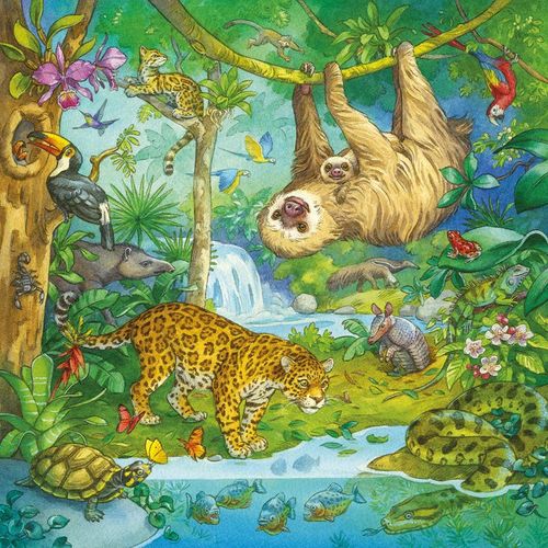 Set de 3 Rompecabezas  Ravensburger Aventura en la Jungla