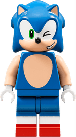 LEGO-Sonic-Desafio-del-Looping-de-Green-Hill-Zone-76994