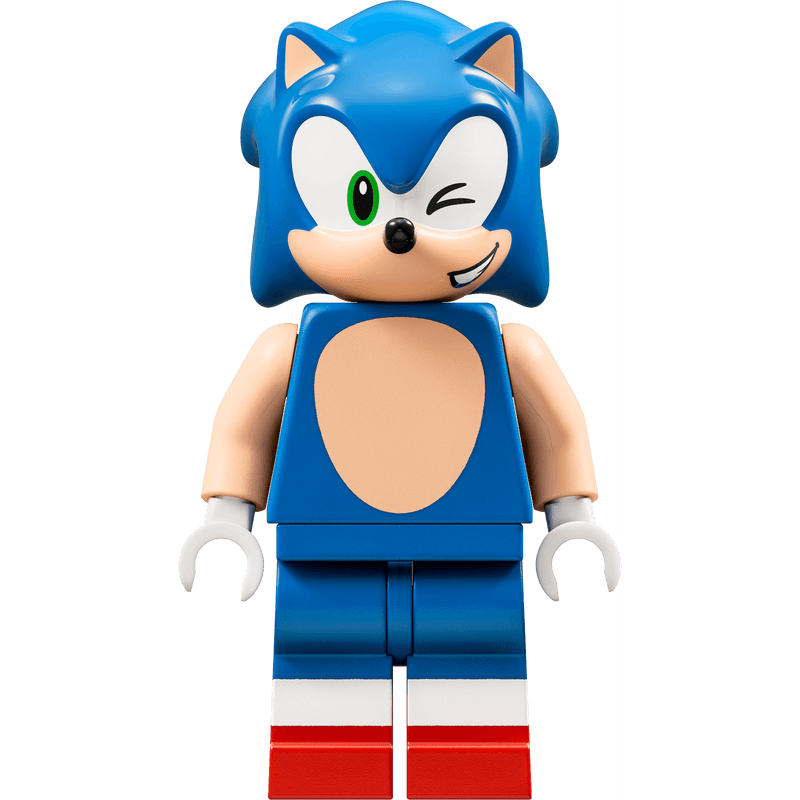 LEGO-Sonic-Desafio-del-Looping-de-Green-Hill-Zone-76994