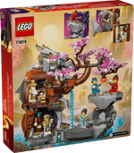 LEGO-Ninjago-Santuario-de-Piedra-del-Dragon-71819