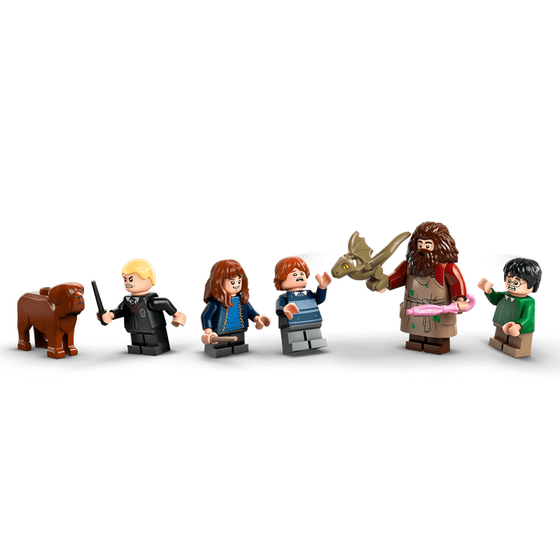 LEGO-Harry-Potter-Cabaña-de-Hagrid-Una-Visita-Inesperada-76428