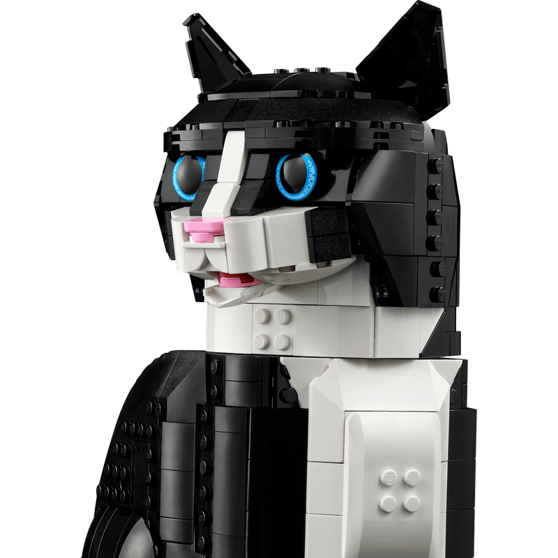 LEGO-Gato-Bicolor-Ideas-21349