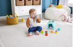 Mattel-Fisher-Price-Mis-Bloques-De-Mascotas--HTW93