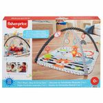 Mattel-Fisher-Price-Baby-Actividades-Musicales-3-en-1-HBP41