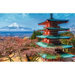 La-Casa-de-la-Educadora-Monte-Fuji-Tokio-26132