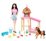 Mattel-Barbie-Set-De-Juego-Cuidado-De-Ponys-Con-Renee-HXJ40