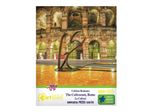Wuundentoy-Gold-Edition-Coliseo-Romano-500-pzas