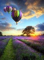 Wuundentoy-Gold-Edition-Globos-Aerostaticos-A-La-Puesta-Del-Sol-500-pzas