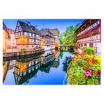 Wuundentoy-Gold-Edition-Francia-1000-Piezas-6630