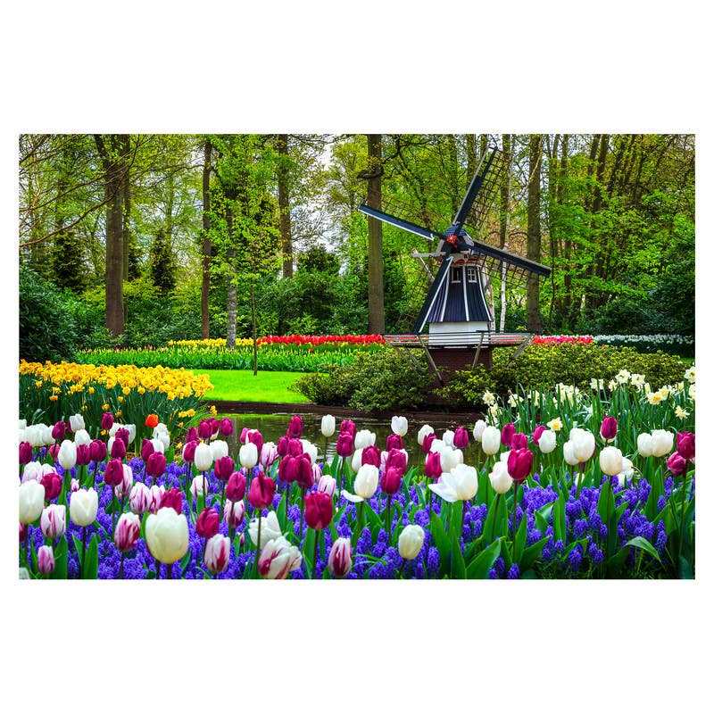 Wuundentoy-Gold-Edition-Jardin-Botanico-Keukenhof-Holanda-1500-pzas
