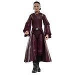 Hasbro-Star-Wars-Black-Series-Padme-Amidala-G0025