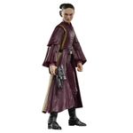 Hasbro-Star-Wars-Black-Series-Padme-Amidala-G0025