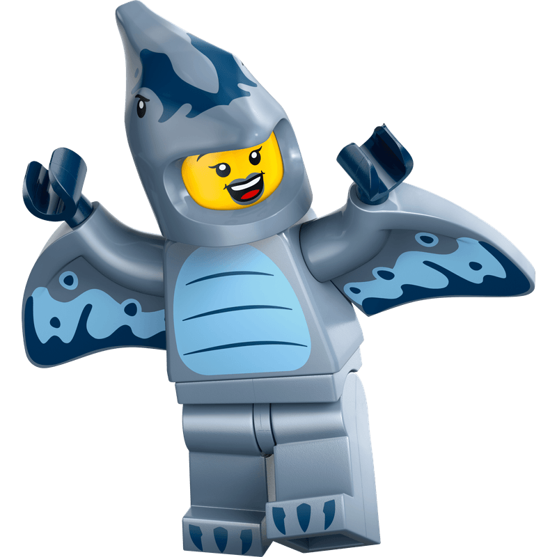 71048_Display_Box_04_01.png