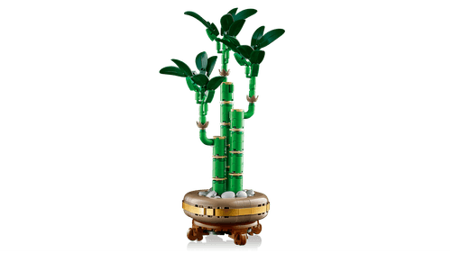 LEGO Botanicals Bambú de la Suerte 10344