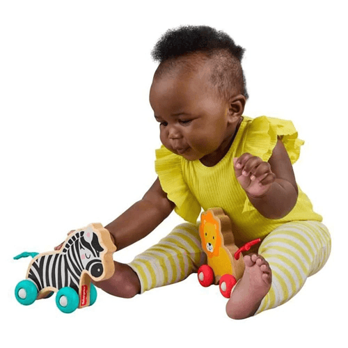 Fisher-Price Juguete para Bebés Animalitos Camina Conmigo JFN19