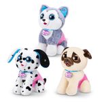 Pets-Alive-Smitten-Kitten