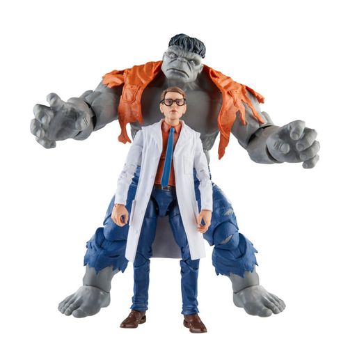 Marvel Legends  Series Avengers Gray Hulk and Dr. Bruce Banner
