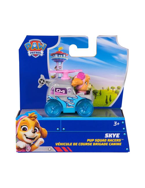 Spin Master Paw Patrol Pup Squad Racer Skye 6074402