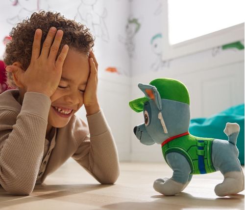 Spin Master Paw Patrol Peluche Core Básico Rocky 6071649