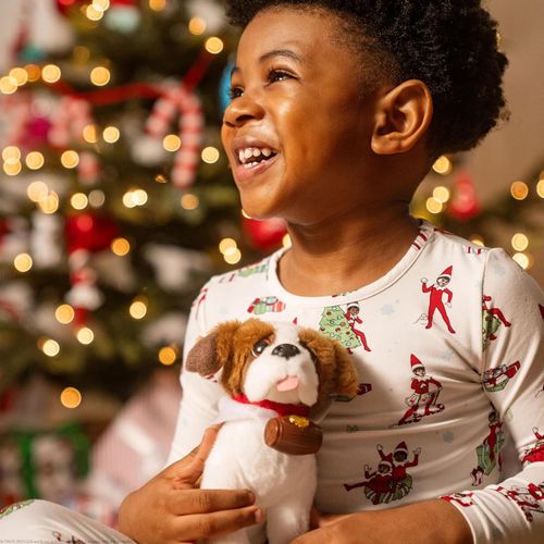 Elf Pets®-  Libro Una Tradición de San Bernardo