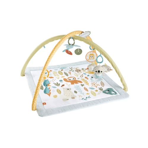 Fisher-Price Baby Gimnasio para Bebés Primeros Sentidos HRB15