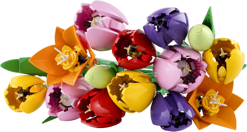 LEGO Botanicals Ramo de Tulipanes 11501