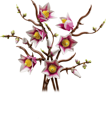 PREVENTA LEGO Botanicals Ramas de Magnolia 11510